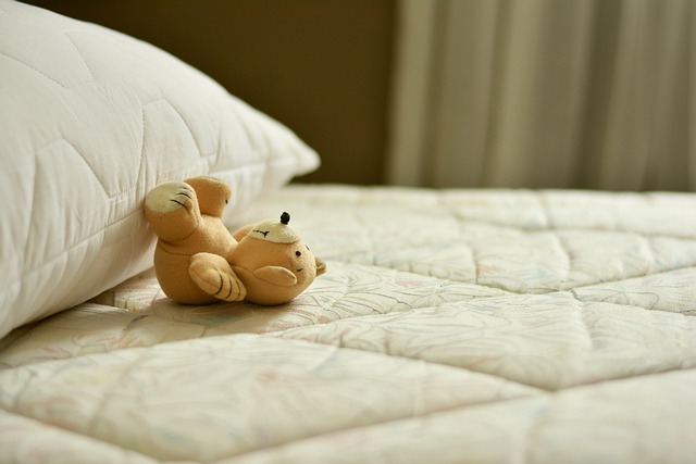Zobacz poduszki dekoracyjne w naszym internetowym sklepie - już dziś zadbaj o spokojny sen całej Twojej rodziny!